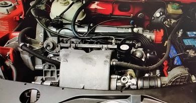 Photo of Zumirajte 1,9-litarski Peugeot 205 GTI… i celu njegovu porodicu