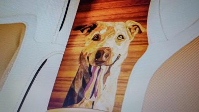 Photo of Šta radi fotografija psa unutar Rolls-Roycea od pola miliona funti?